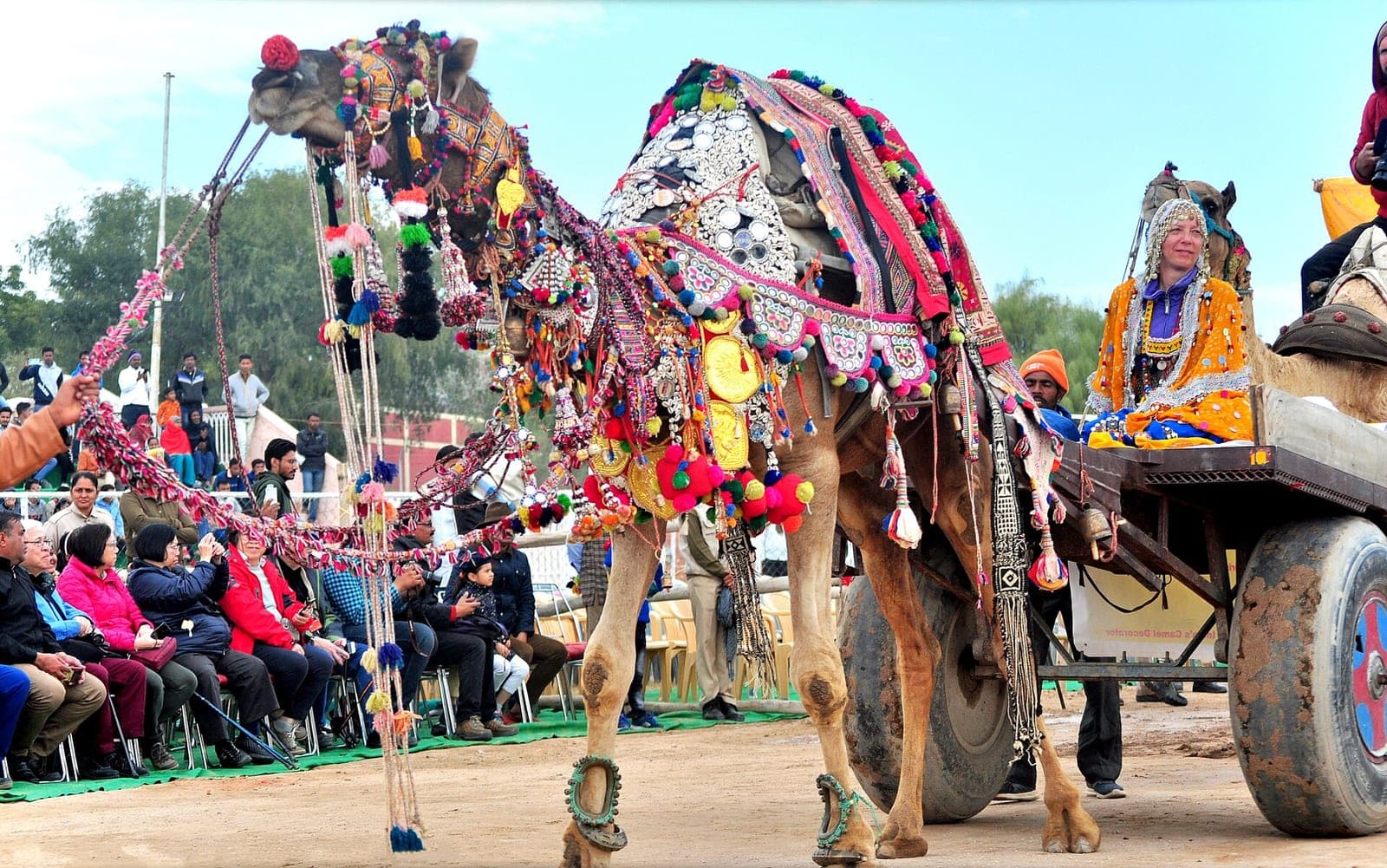 Bikaner Camel Festival
