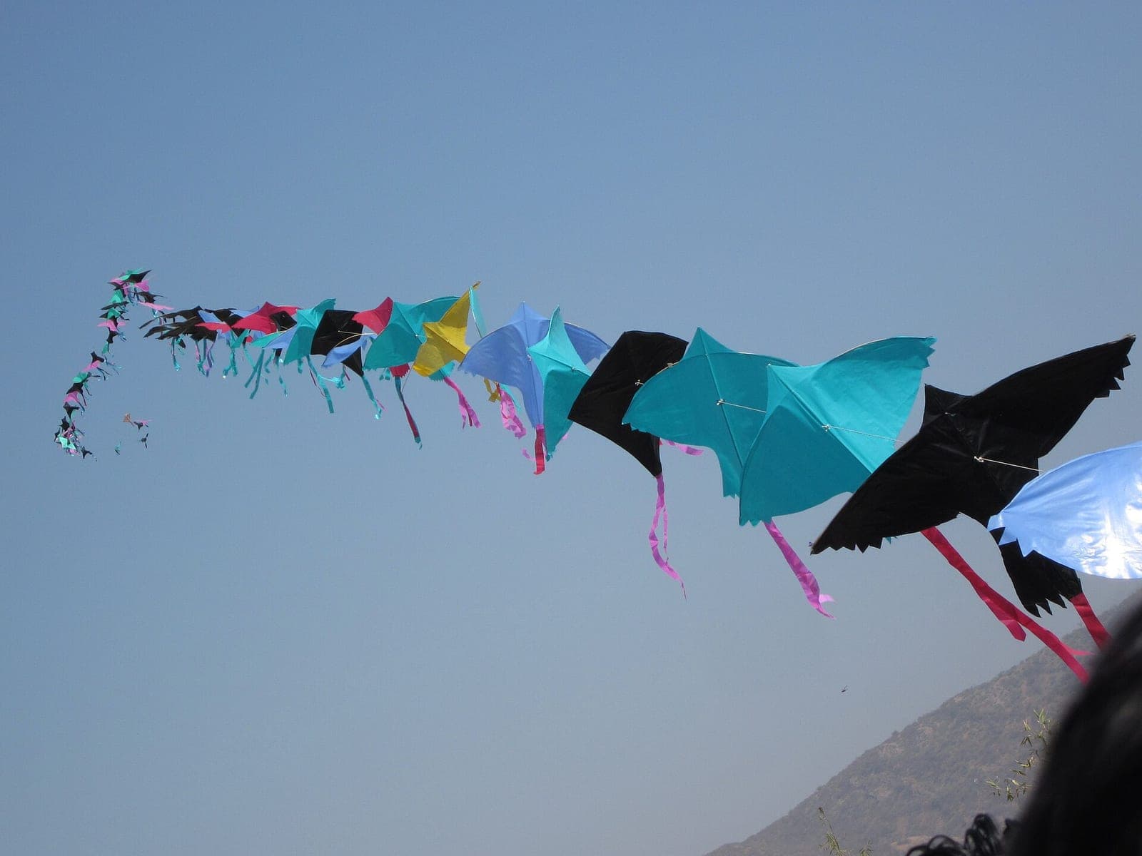 Kite Festival