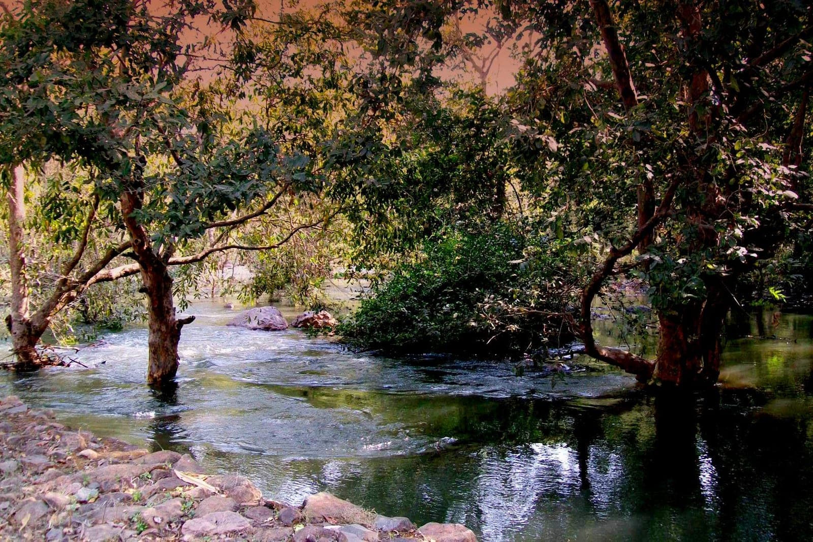 Sita Mata Wildlife Sanctuary